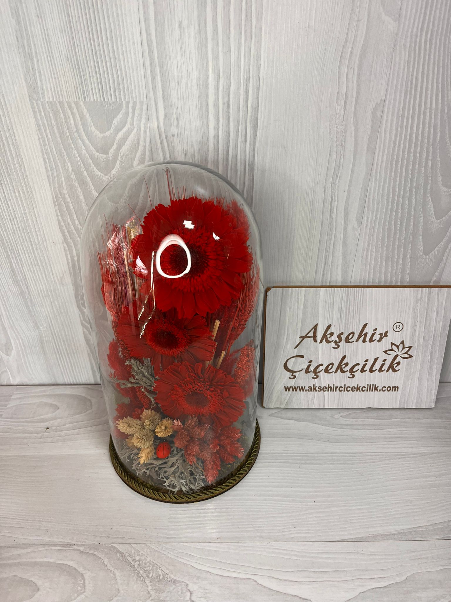 canlı solmayan gül teraryum 