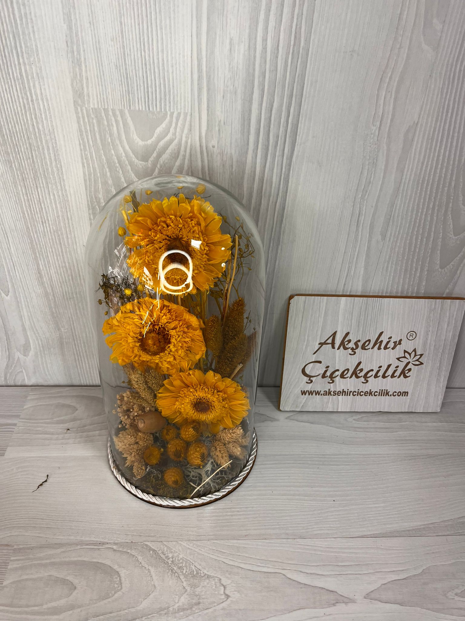 canlı solmayan gül teraryum 