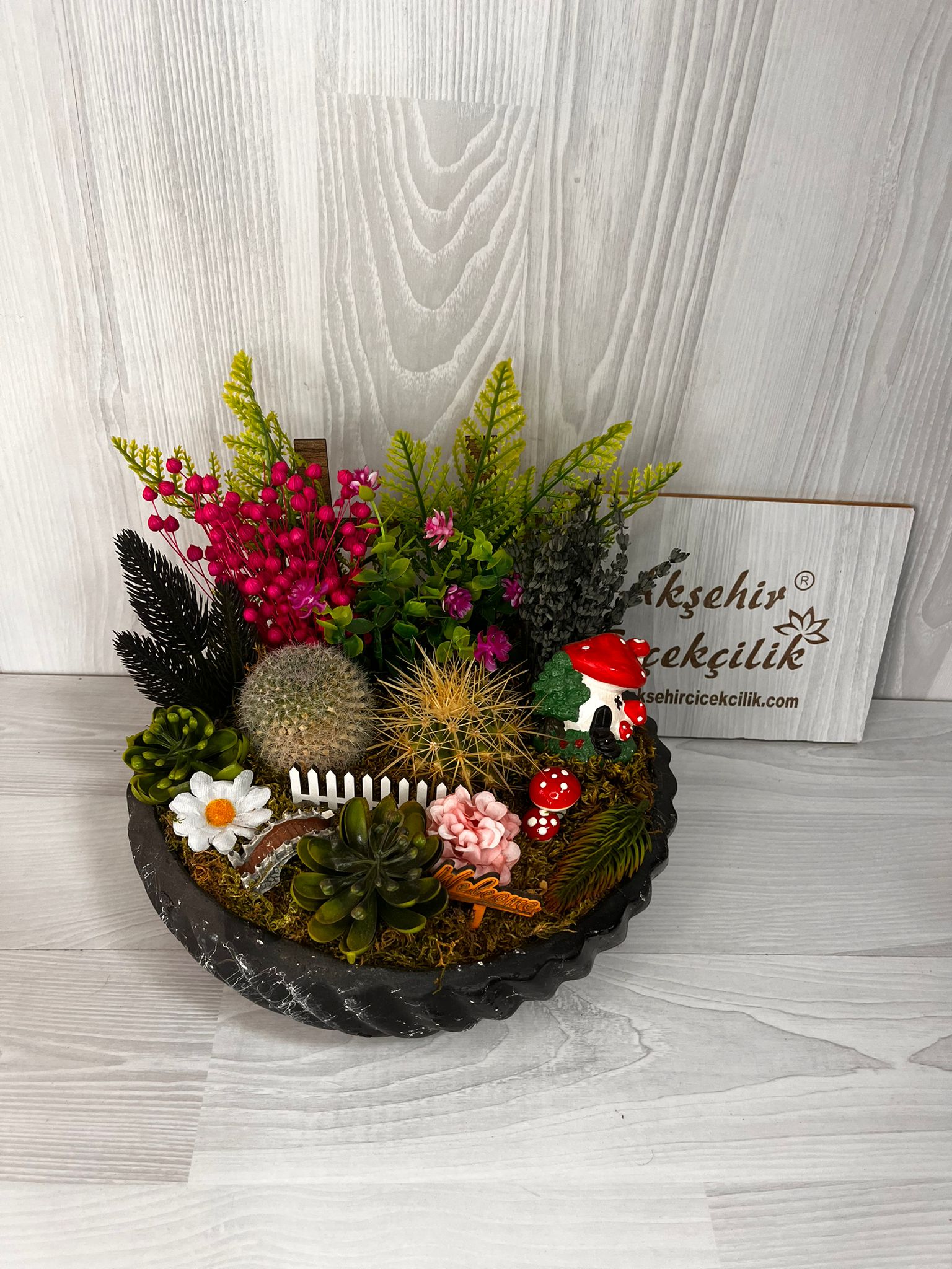 kaktüs bahçesi büyük boy